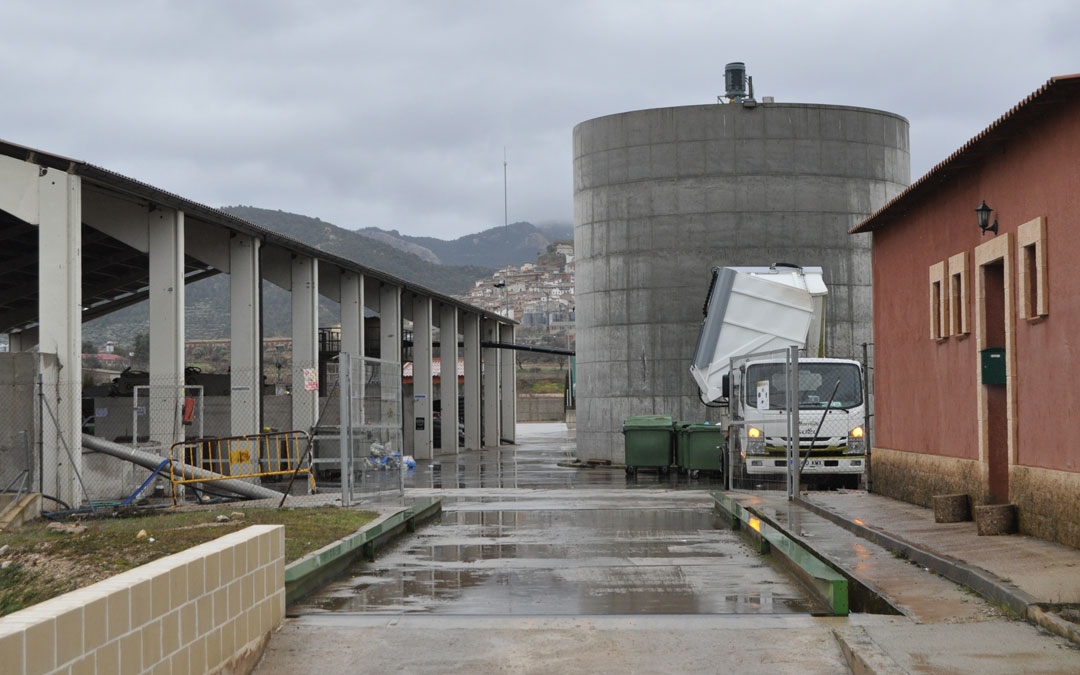 planta purines
